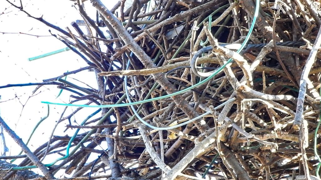 カラスの巣の巣材