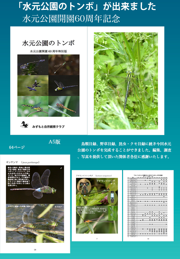 水元公園のトンボ